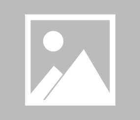 开云平台-东契奇得分狂潮引领晋级之路，瑞士队极限挑战铸就体育传奇，东契奇得分狂潮引领晋级，瑞士队极限挑战铸就体育传奇